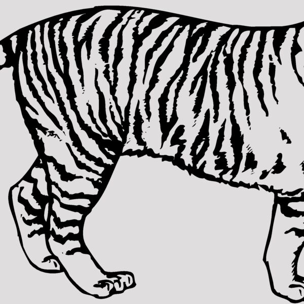 TIGER003 Thumbnail