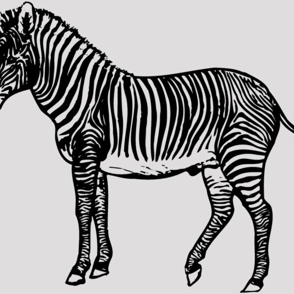 ZEBRA003 Thumbnail