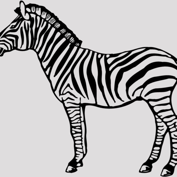 ZEBRA004 Thumbnail