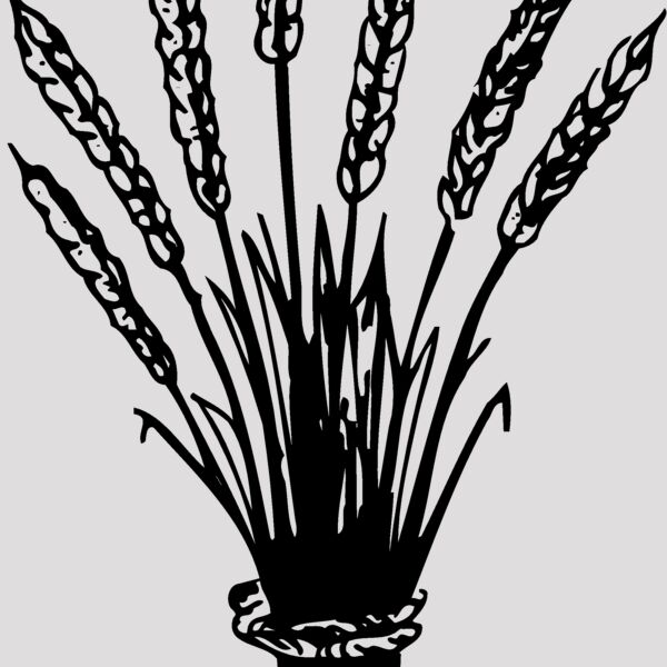 GRAIN008 Thumbnail