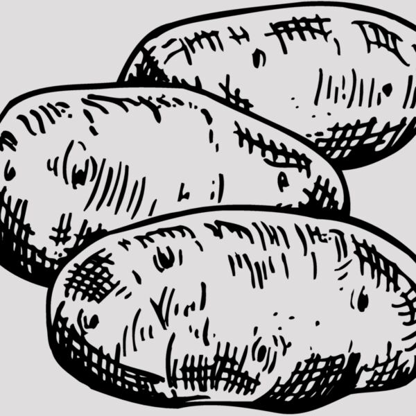 VEG013 Thumbnail