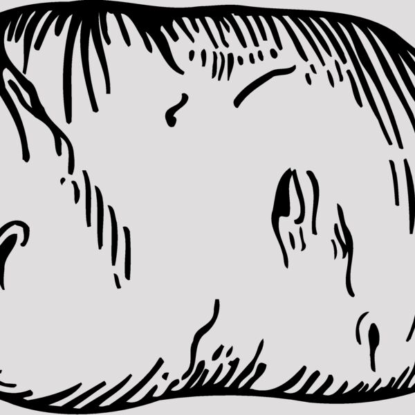 VEG019 Thumbnail