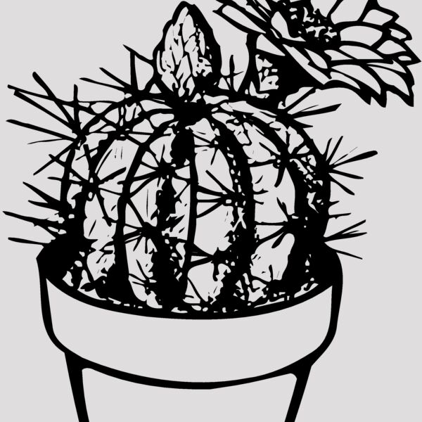 CACTUS01 Thumbnail