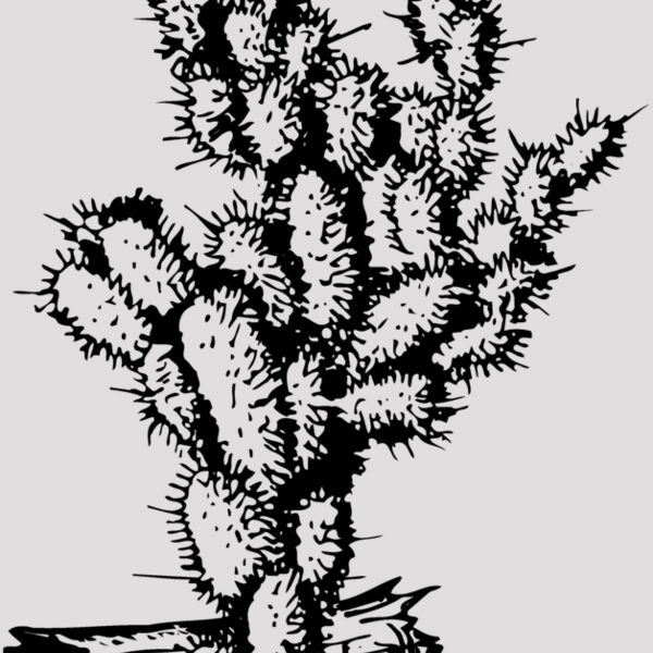CACTUS09 Thumbnail