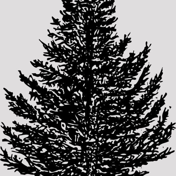 TREE0005 Thumbnail
