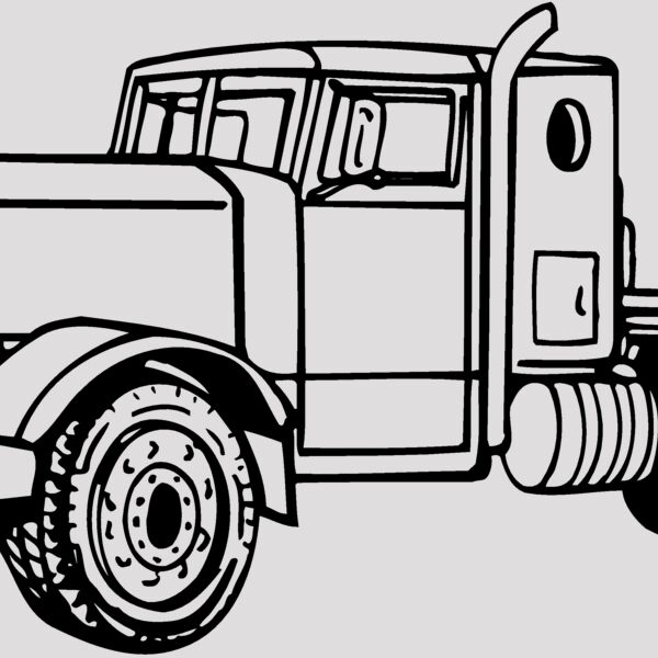 CAB15 Thumbnail
