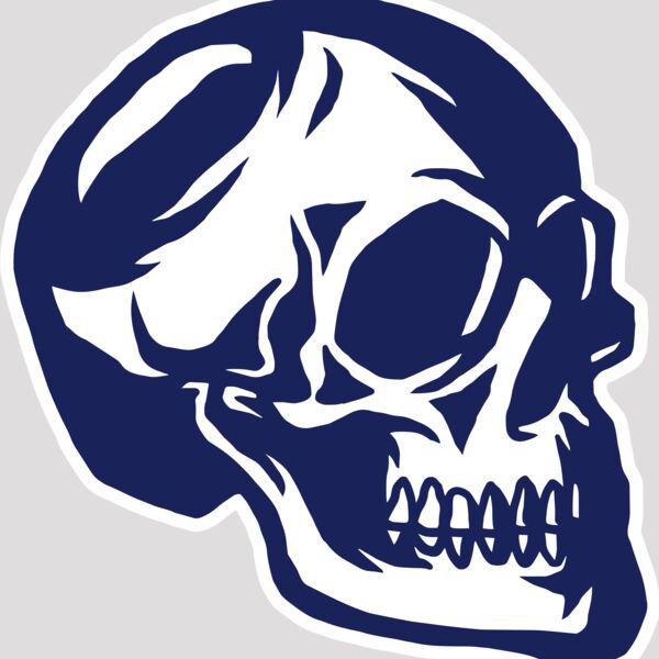 Elements Skulls logo template 139 Thumbnail