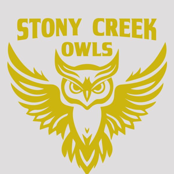 School Owls 04 Thumbnail