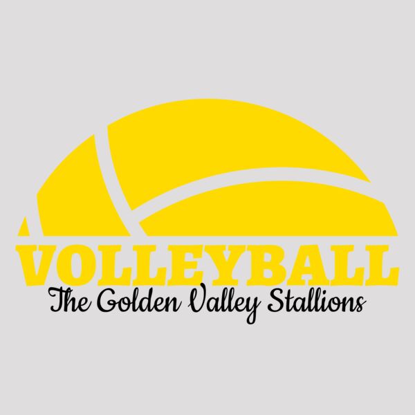 Volleyball 40 Thumbnail