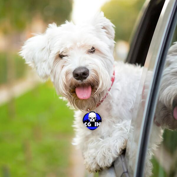  heart dog tag double side Thumbnail