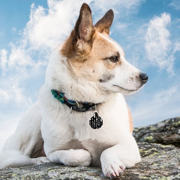  Round pet tag double side Thumbnail