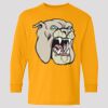 (5400b) Heavy Cotton Youth Long Sleeve T-Shirt Thumbnail