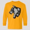 (5400b) Heavy Cotton Youth Long Sleeve T-Shirt Thumbnail