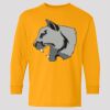 (5400b) Heavy Cotton Youth Long Sleeve T-Shirt Thumbnail