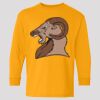 (5400b) Heavy Cotton Youth Long Sleeve T-Shirt Thumbnail