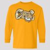 (5400b) Heavy Cotton Youth Long Sleeve T-Shirt Thumbnail