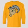 (5400b) Heavy Cotton Youth Long Sleeve T-Shirt Thumbnail