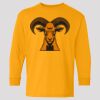 (5400b) Heavy Cotton Youth Long Sleeve T-Shirt Thumbnail