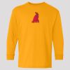 (5400b) Heavy Cotton Youth Long Sleeve T-Shirt Thumbnail