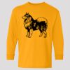 (5400b) Heavy Cotton Youth Long Sleeve T-Shirt Thumbnail