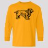 (5400b) Heavy Cotton Youth Long Sleeve T-Shirt Thumbnail