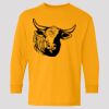 (5400b) Heavy Cotton Youth Long Sleeve T-Shirt Thumbnail