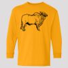 (5400b) Heavy Cotton Youth Long Sleeve T-Shirt Thumbnail