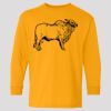 (5400b) Heavy Cotton Youth Long Sleeve T-Shirt Thumbnail