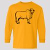 (5400b) Heavy Cotton Youth Long Sleeve T-Shirt Thumbnail