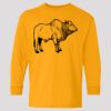 (5400b) Heavy Cotton Youth Long Sleeve T-Shirt Thumbnail