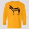 (5400b) Heavy Cotton Youth Long Sleeve T-Shirt Thumbnail