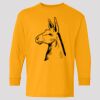 (5400b) Heavy Cotton Youth Long Sleeve T-Shirt Thumbnail