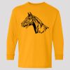 (5400b) Heavy Cotton Youth Long Sleeve T-Shirt Thumbnail