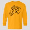 (5400b) Heavy Cotton Youth Long Sleeve T-Shirt Thumbnail