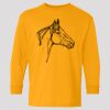 (5400b) Heavy Cotton Youth Long Sleeve T-Shirt Thumbnail