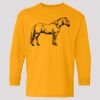 (5400b) Heavy Cotton Youth Long Sleeve T-Shirt Thumbnail