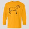 (5400b) Heavy Cotton Youth Long Sleeve T-Shirt Thumbnail