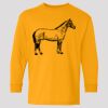 (5400b) Heavy Cotton Youth Long Sleeve T-Shirt Thumbnail