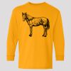 (5400b) Heavy Cotton Youth Long Sleeve T-Shirt Thumbnail