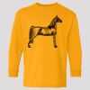 (5400b) Heavy Cotton Youth Long Sleeve T-Shirt Thumbnail