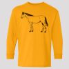 (5400b) Heavy Cotton Youth Long Sleeve T-Shirt Thumbnail