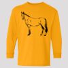 (5400b) Heavy Cotton Youth Long Sleeve T-Shirt Thumbnail