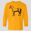 (5400b) Heavy Cotton Youth Long Sleeve T-Shirt Thumbnail