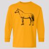 (5400b) Heavy Cotton Youth Long Sleeve T-Shirt Thumbnail