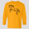 (5400b) Heavy Cotton Youth Long Sleeve T-Shirt Thumbnail