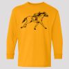 (5400b) Heavy Cotton Youth Long Sleeve T-Shirt Thumbnail