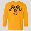 (5400b) Heavy Cotton Youth Long Sleeve T-Shirt Thumbnail