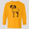 (5400b) Heavy Cotton Youth Long Sleeve T-Shirt Thumbnail