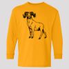 (5400b) Heavy Cotton Youth Long Sleeve T-Shirt Thumbnail