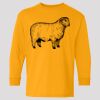 (5400b) Heavy Cotton Youth Long Sleeve T-Shirt Thumbnail